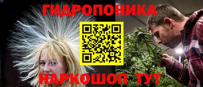 гашик Бузулук