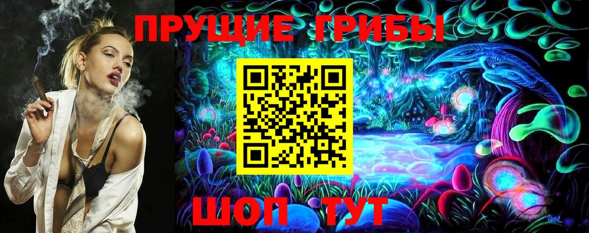 Галлюциногенные грибы Psilocybine cubensis Нижнеудинск